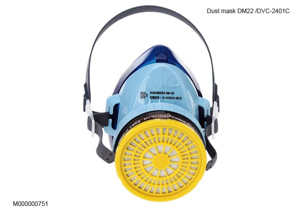 Dust mask DM22